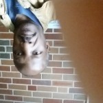 Profile picture of Mic